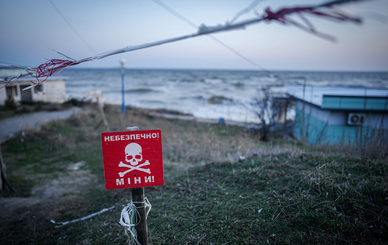 Загибель дельфінів і мор риби? Що відбувається з Чорним морем через війну