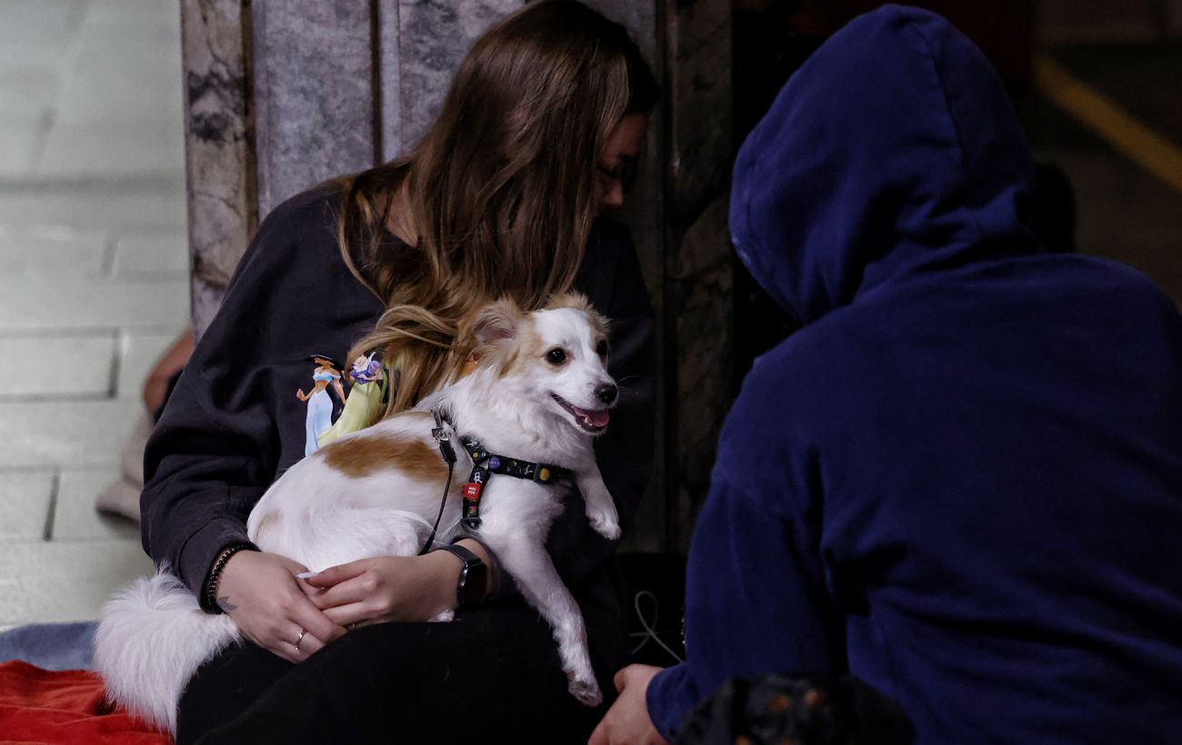 Як заспокоїти собаку під час тривоги чи вибухів: поради від кінолога