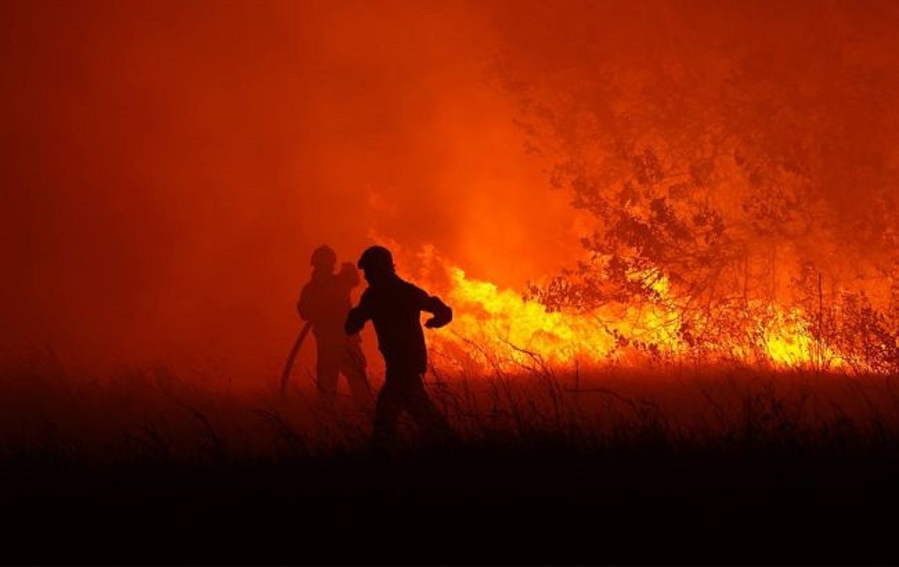 Лісова пожежа знеструмила понад 150 споживачів на Полтавщині