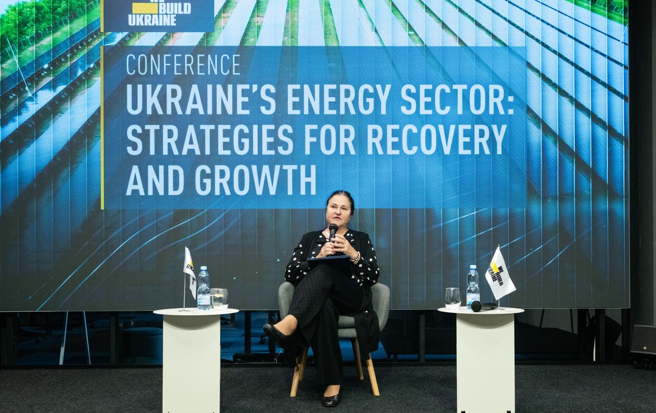 Енергетика потребує реформ. Посол ЄС назвала ключові кроки