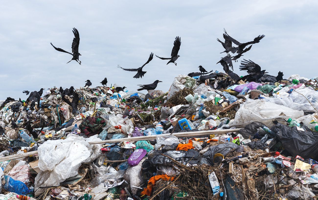 Reuters повідомив про жалюгідну ситуацію в секторі Гази: антисанітарія, сміття і стічні води