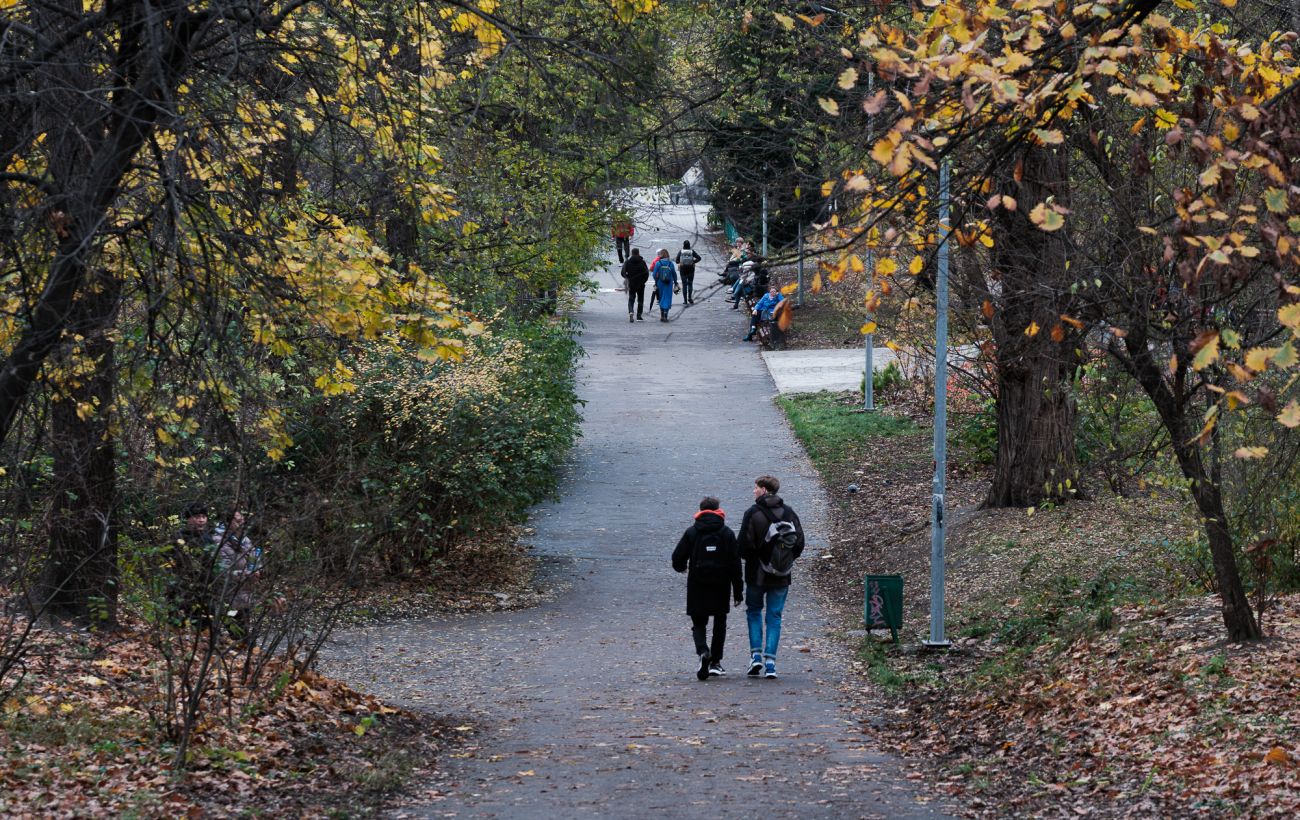 Початок зими буде теплим: яку погоду очікувати в Україні наступного тижня (карти)