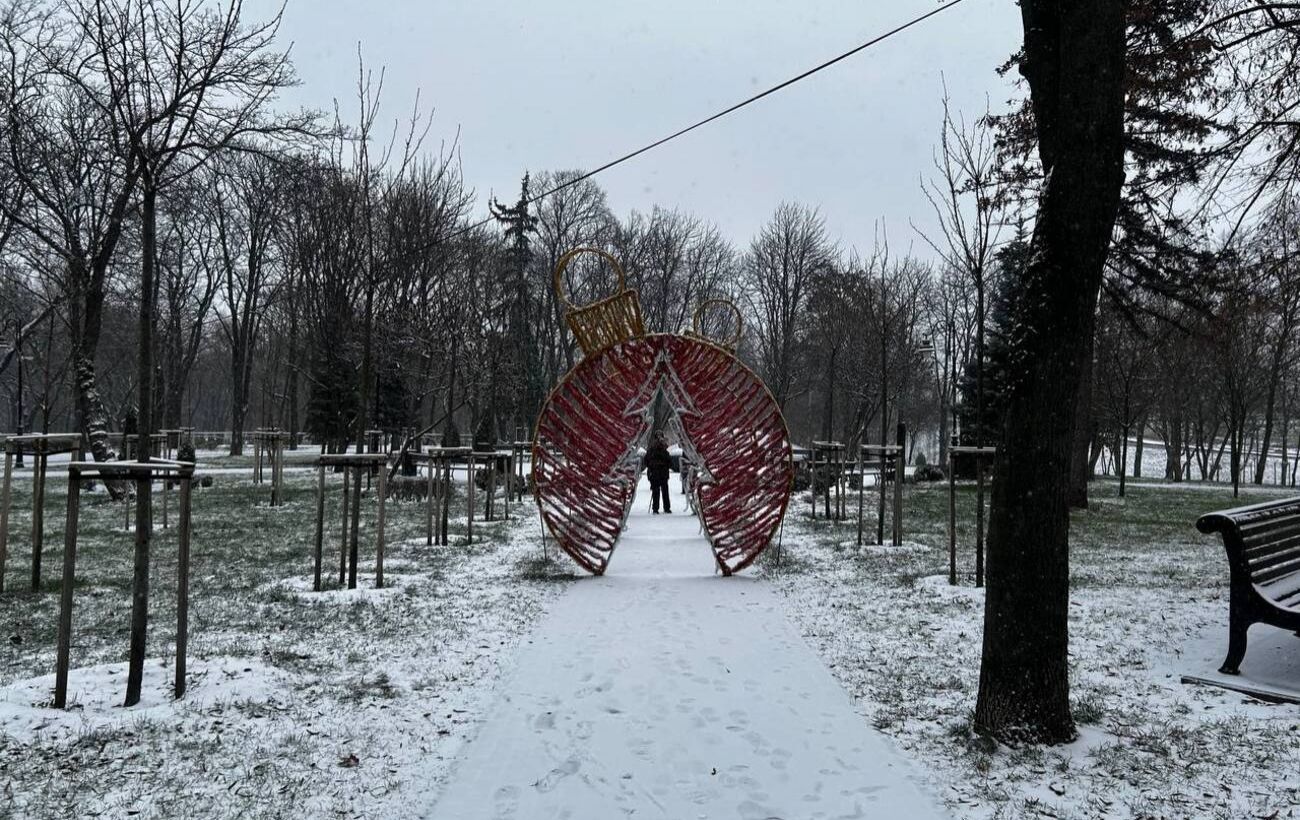 У Києві випав перший сніг: як виглядає засніжена столиця