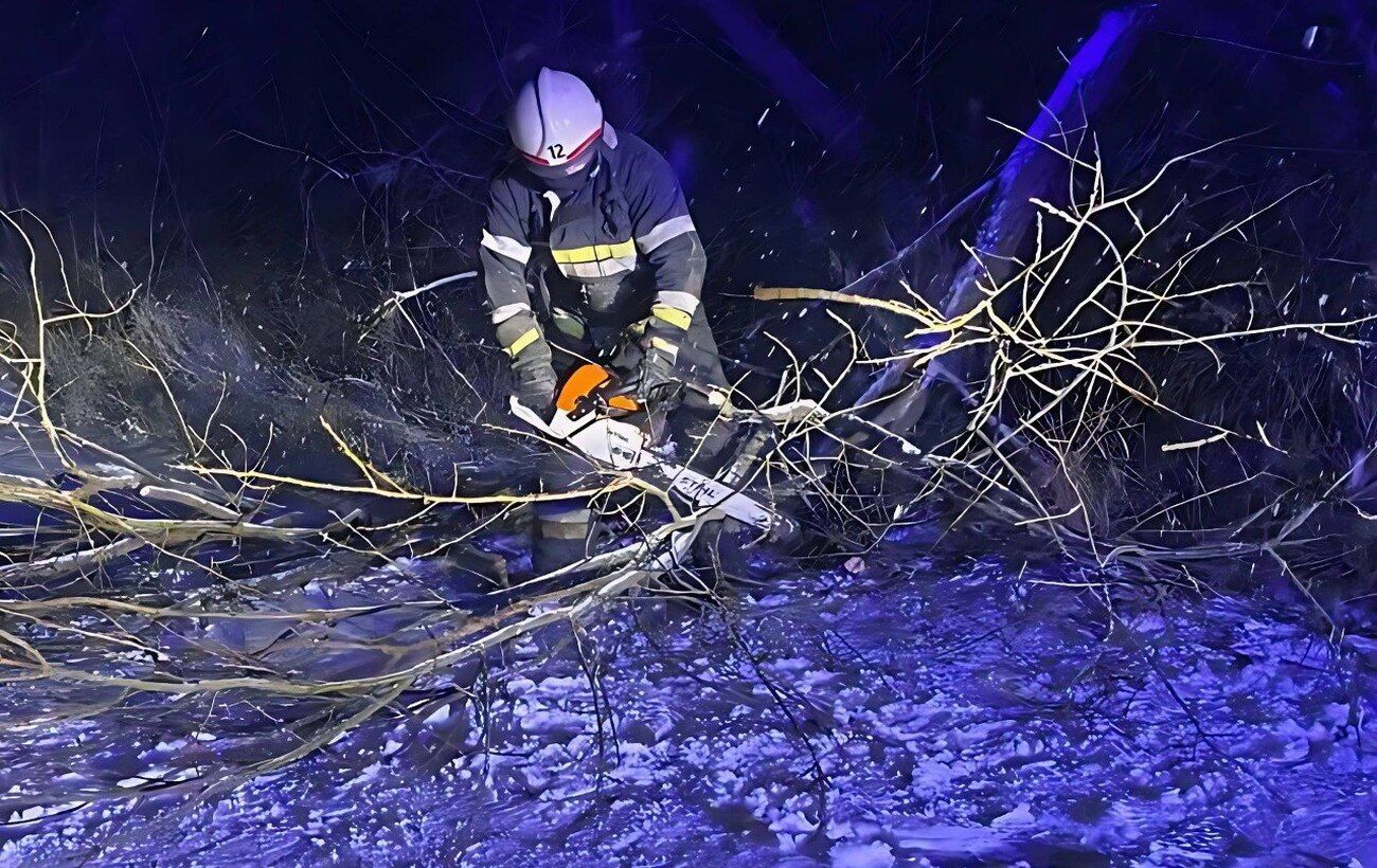 Негода накрила ще один регіон: на Житомирщині ДСНС прибирає звалені дерева та рятує водіїв