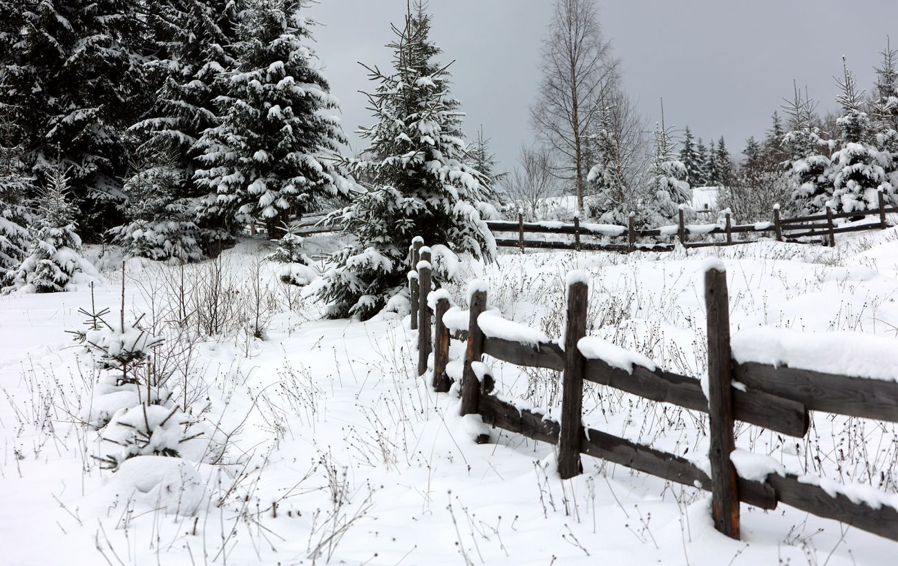 Все в снігу й 17 градусів морозу: рятувальники попередили про небезпеку в Карпатах (фото)