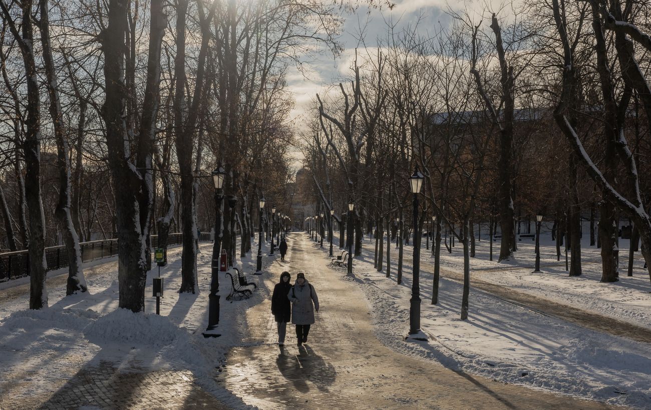 Чи очікувати українцям снігу та сильних морозів: прогноз погоди на сьогодні