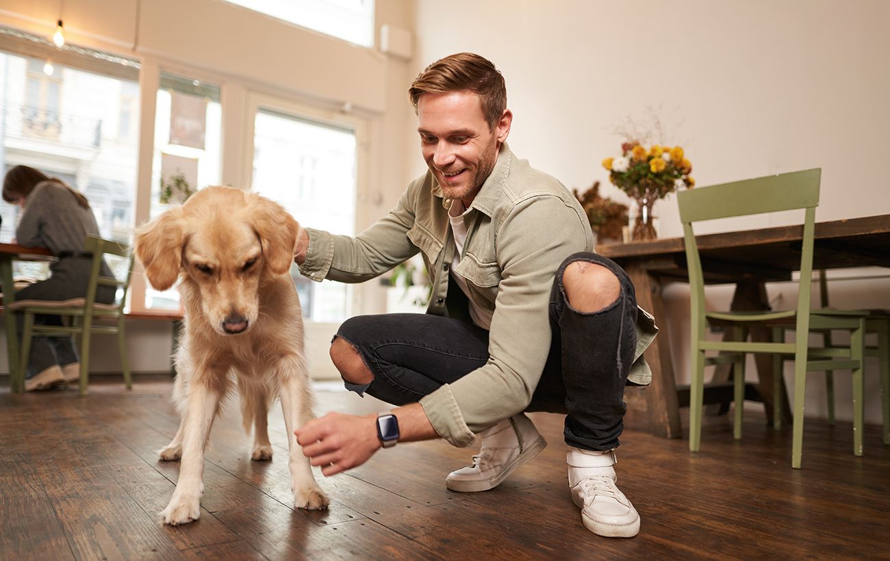 Хвіст виляє - не завжди радість: 10 сигналів собаки, які ви читаєте неправильно