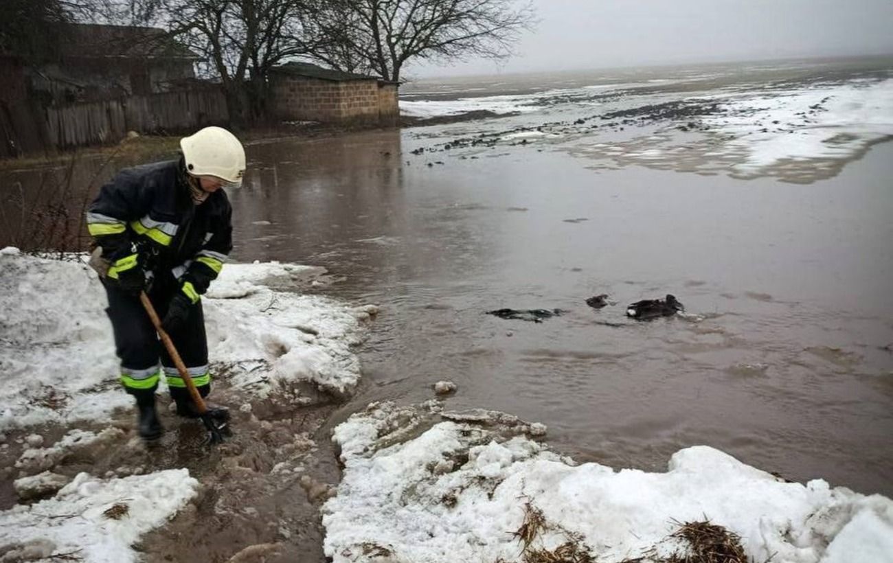 Українців попередили про підтоплення: які області під загрозою