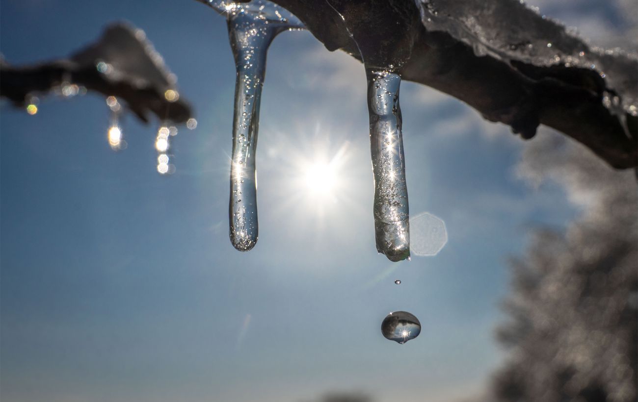 В Україну йде потепління: якою буде погода в останній день зими