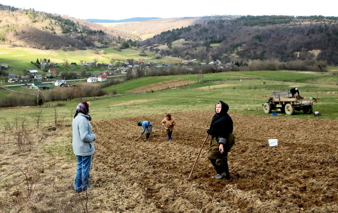 Календар городника на березень 2026: коли та що садити і чому 3 дні під абсолютною забороною