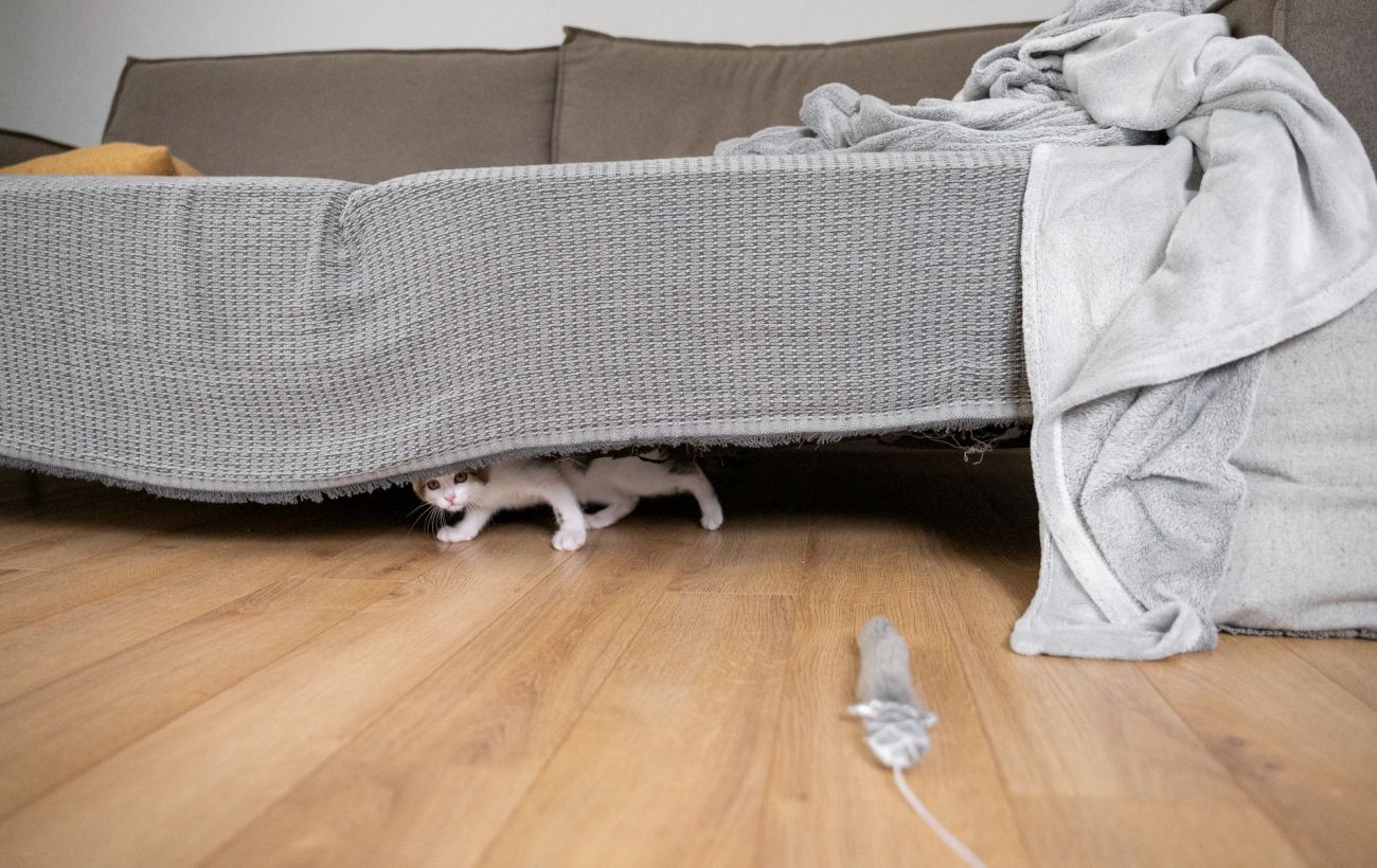 Бактерій більше, ніж у ванній: ці 5 місць у спальні майже ніхто не чистить