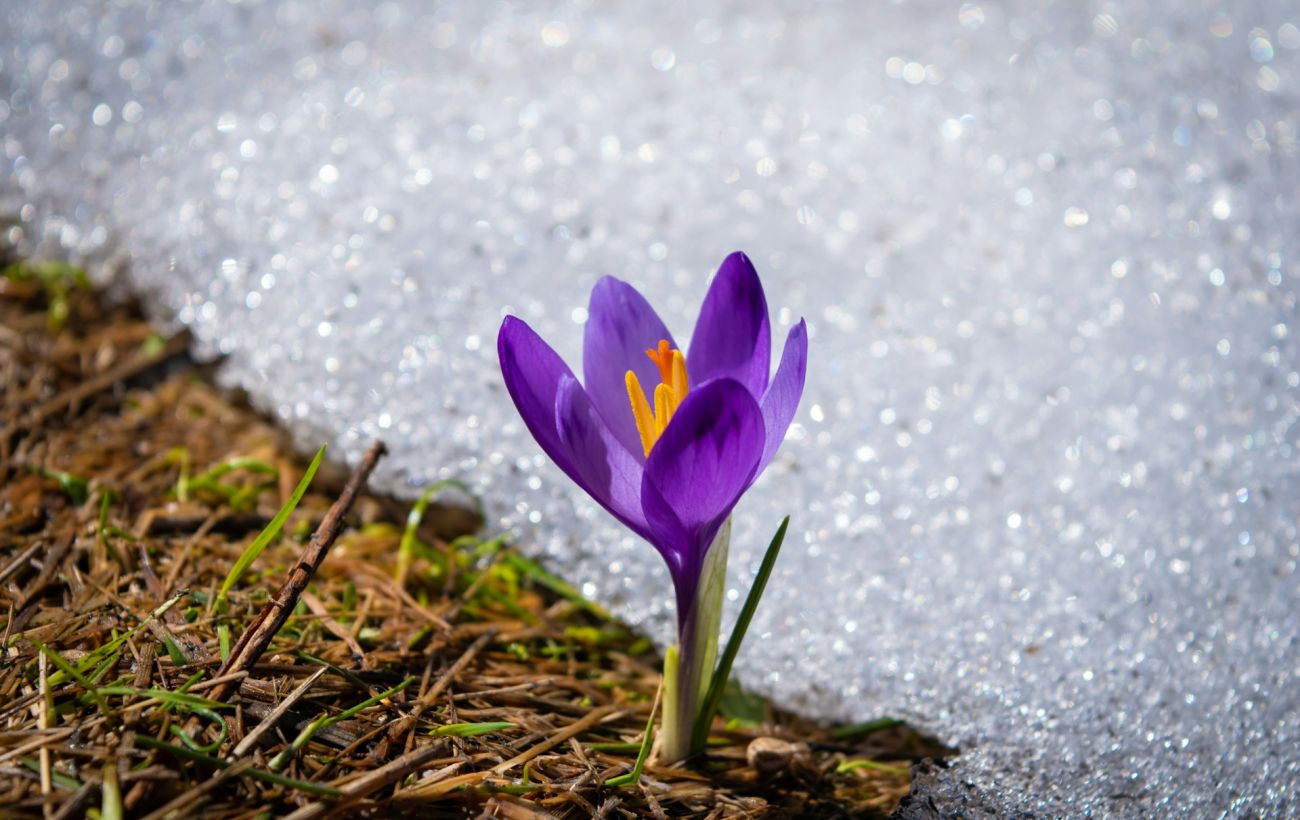 В Україні з квітня стартує "сезон тиші": що це таке та що буде під суворою забороною