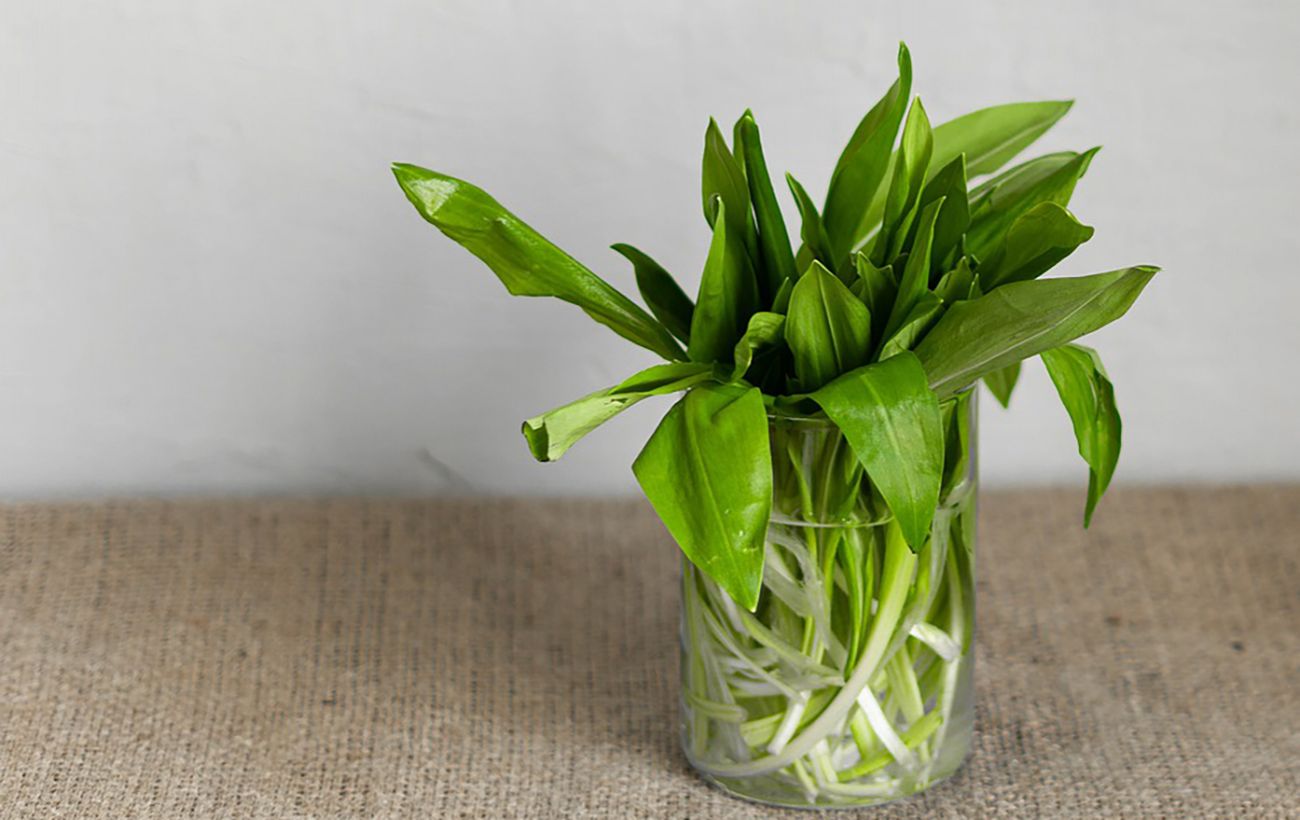 Черемша творить "диво": лікар пояснила, чому її варто їсти зараз усім