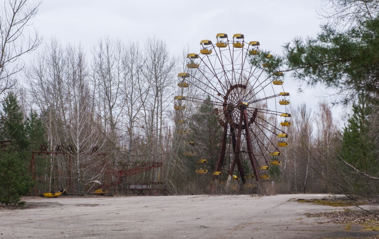 Не через радіацію. Чому насправді з Чорнобильської зони зникли голуби і білі лелеки