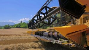 Американський бізнес буде підтримувати фермерів в Україні